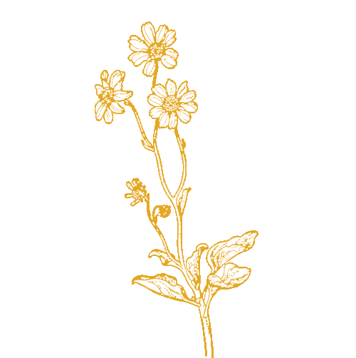 Flowers.png
