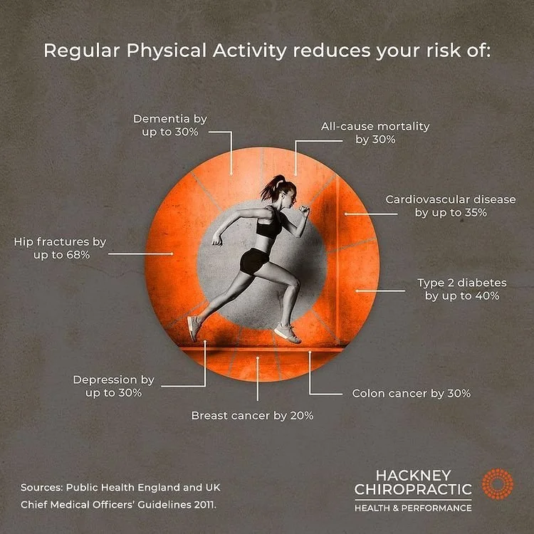 Exercise & low back pain sometimes less is more — Hackney Chiropractic