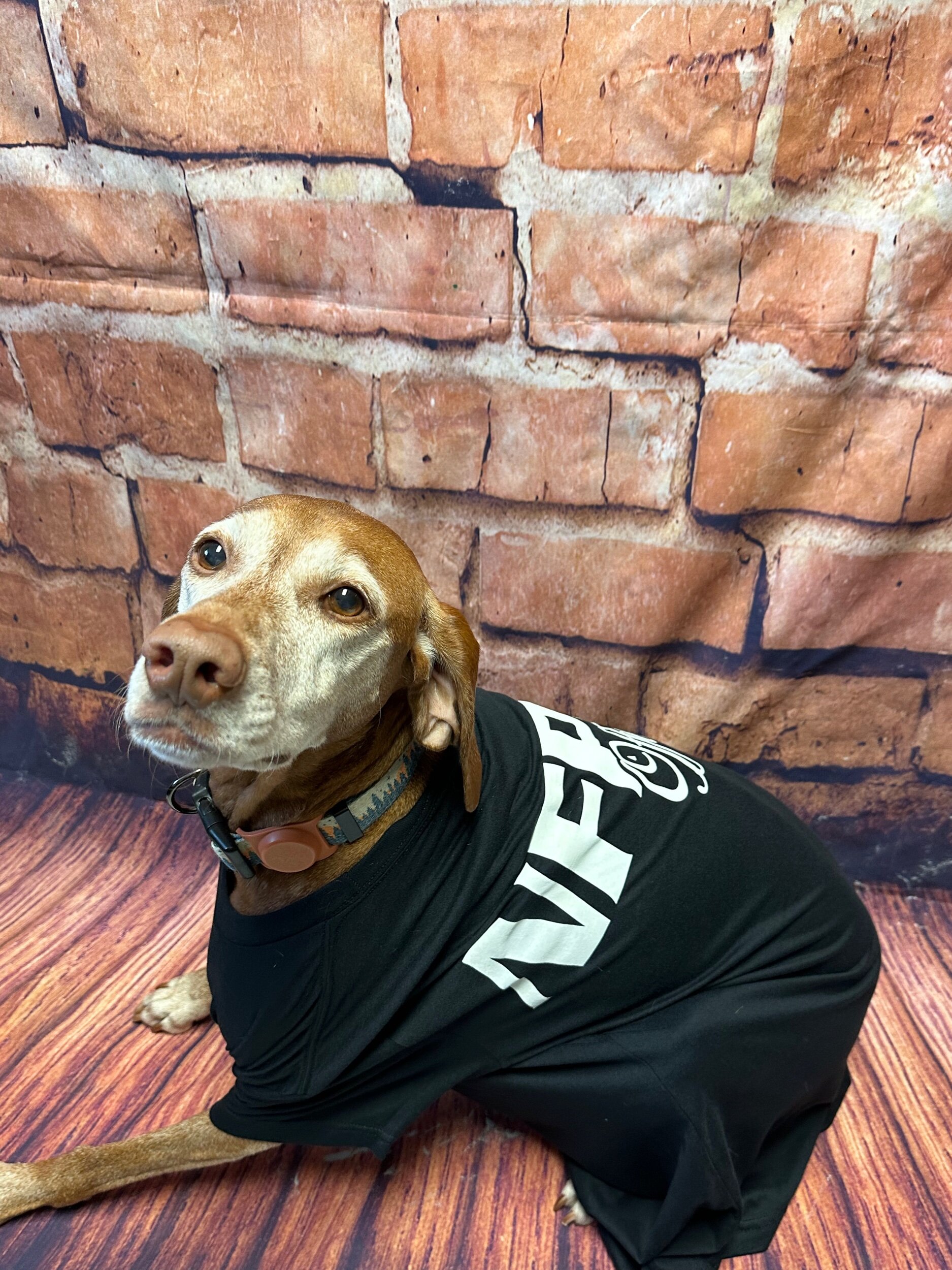 46315428-7A12-4118-8E4C-F280DC01020D