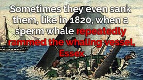 Roaring Earth: Whale Apocalypse