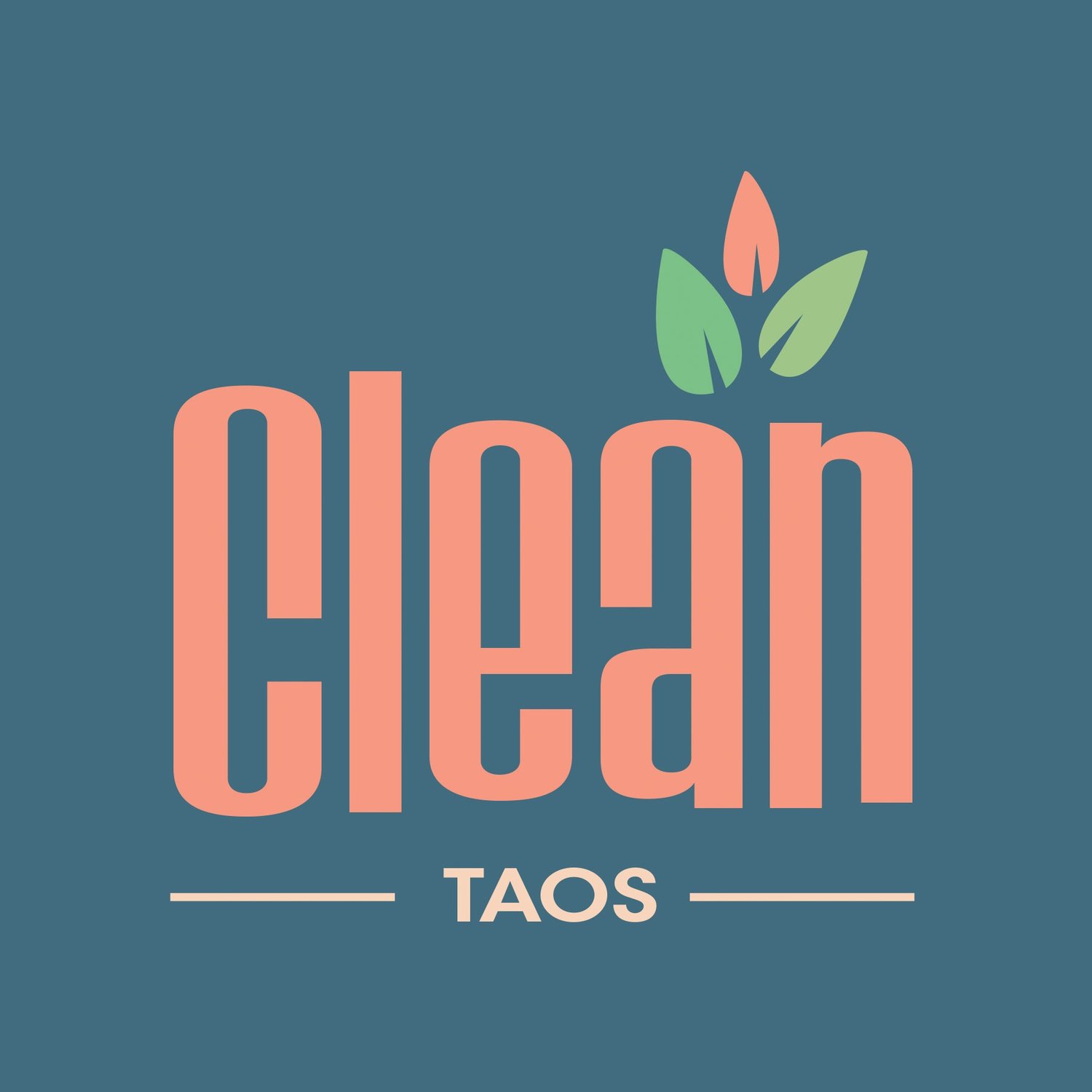 Clean Taos Inc.