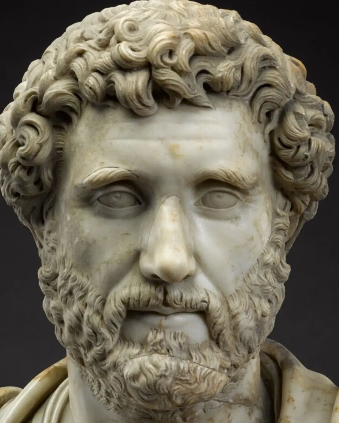 A lovely bust of Emperor Antoninus Pius coming up at auction shortly.