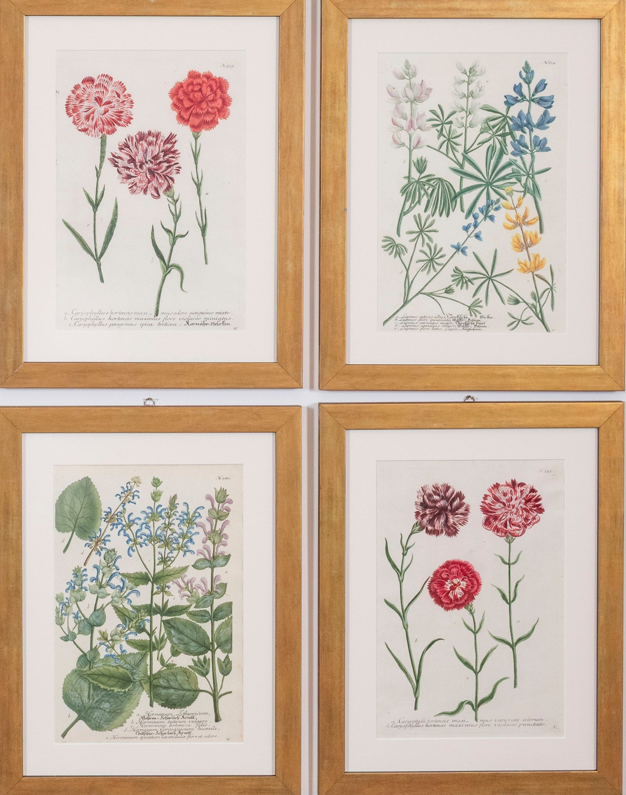 botanicals-weinmann9.jpg