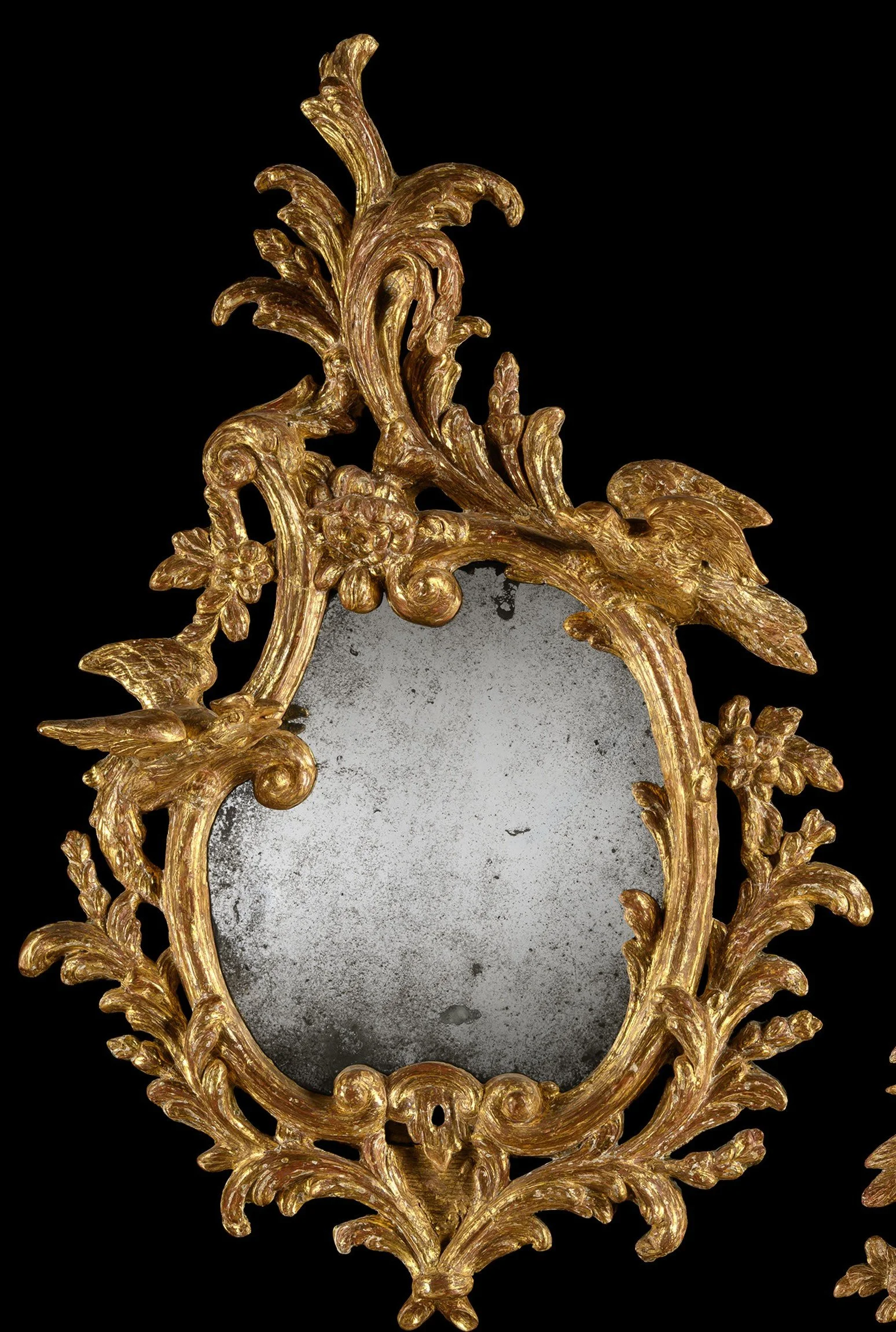 Click image to view in new window.