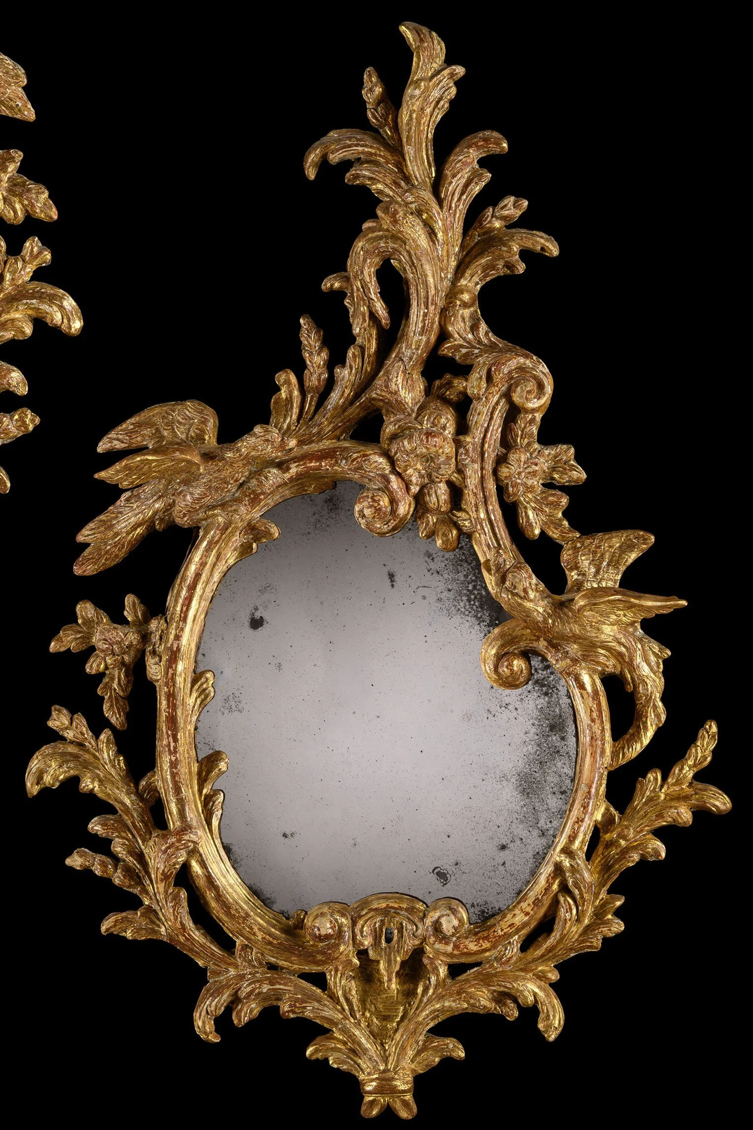 Click image to view in new window.