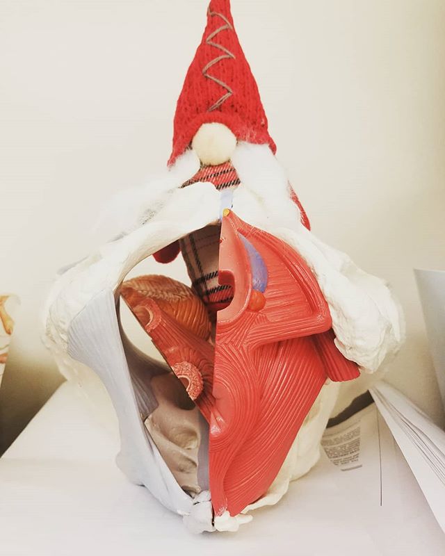 Pelviclaus came a bit early, thanks to my silly coworkers. He also shook some things up and caused some pelvic organ prolapse. 
Tis okay, a pelvic floor therapist can help to educate you on what prolapse is and appropriate exercise for you. 
#pelvicf