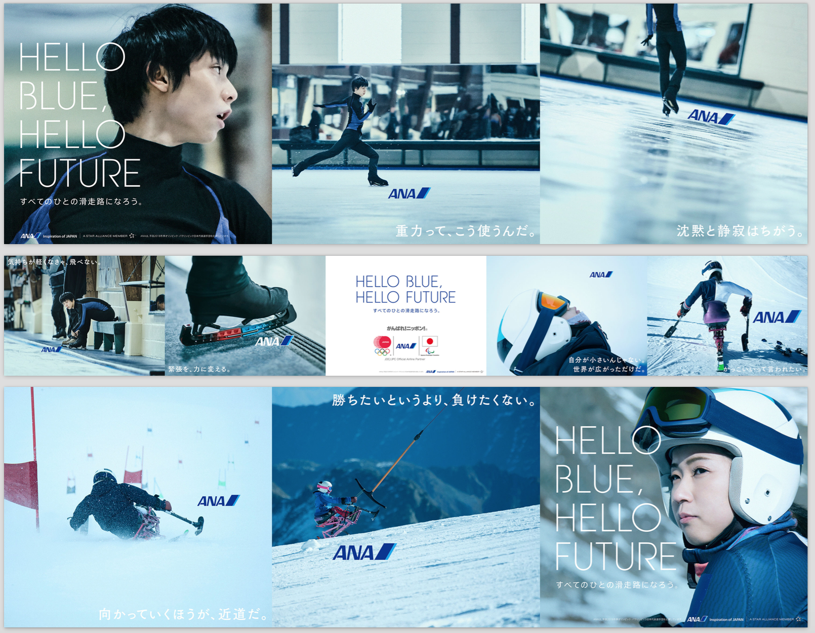 ANA TCC WEB.png