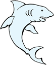 sharks.gif
