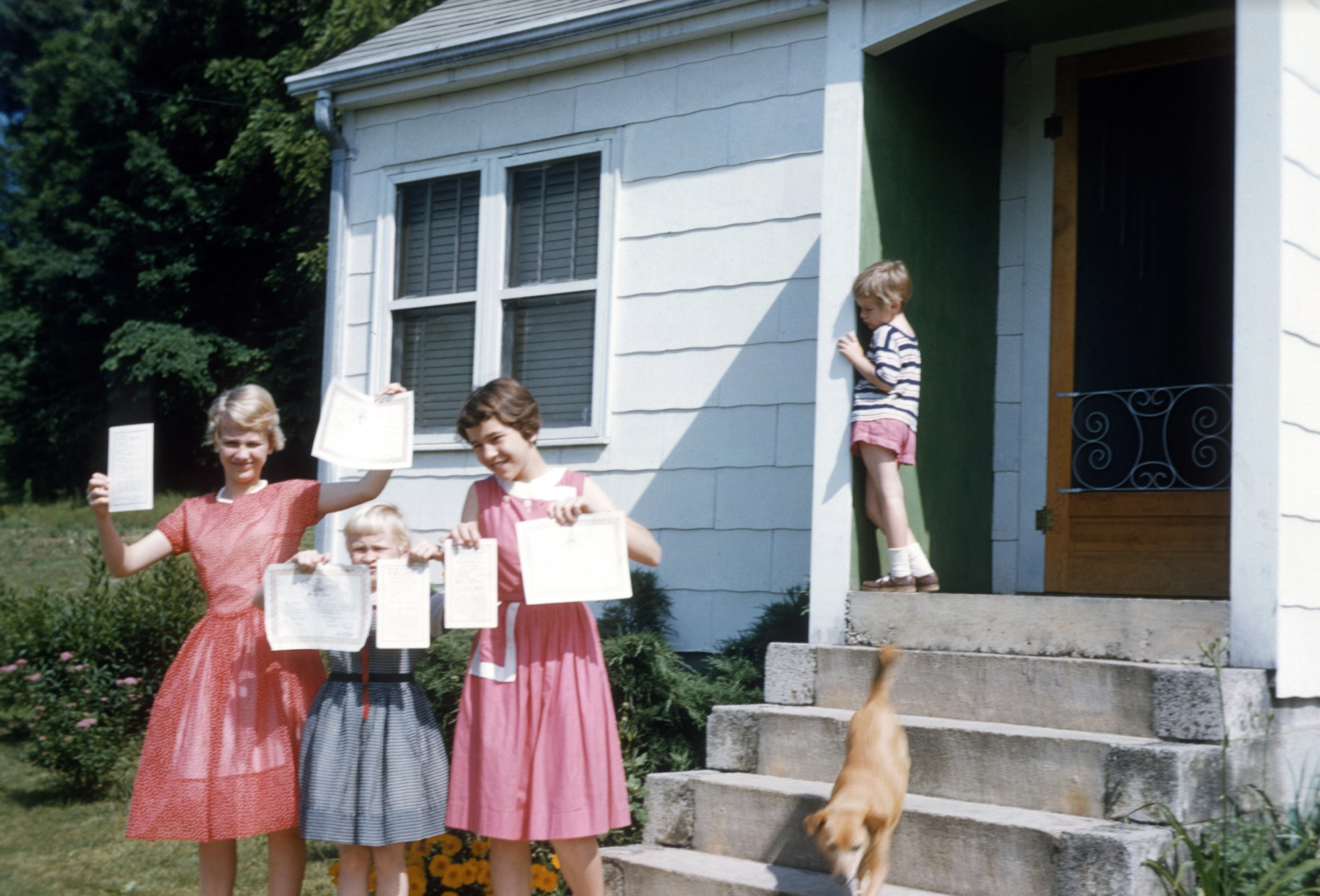 Screen Shot 2019-07-30 at 8.08.05 PM.png