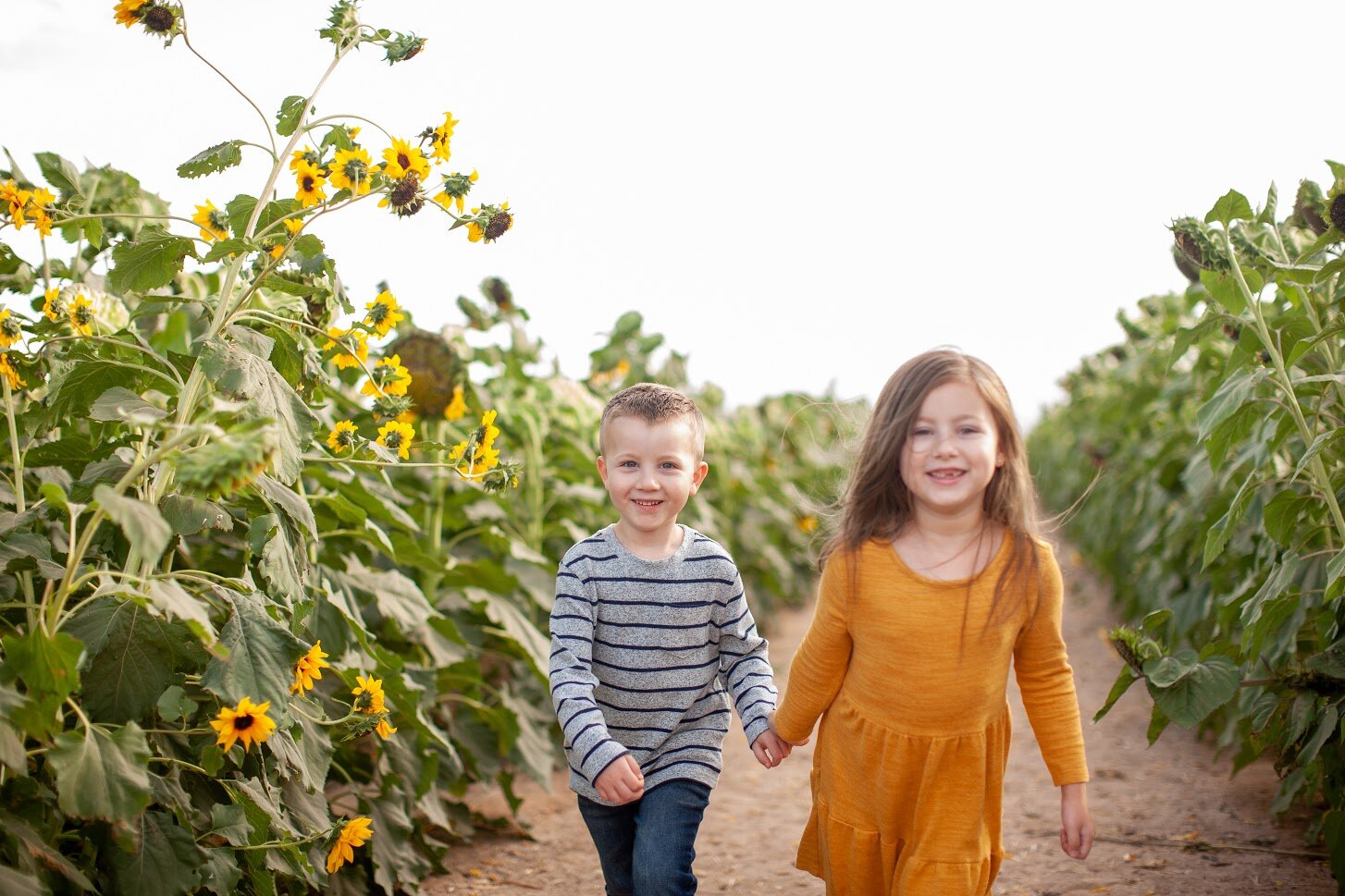 Two kids at Sunflower patch at Rocker 7 Farm Patch. (Copy)