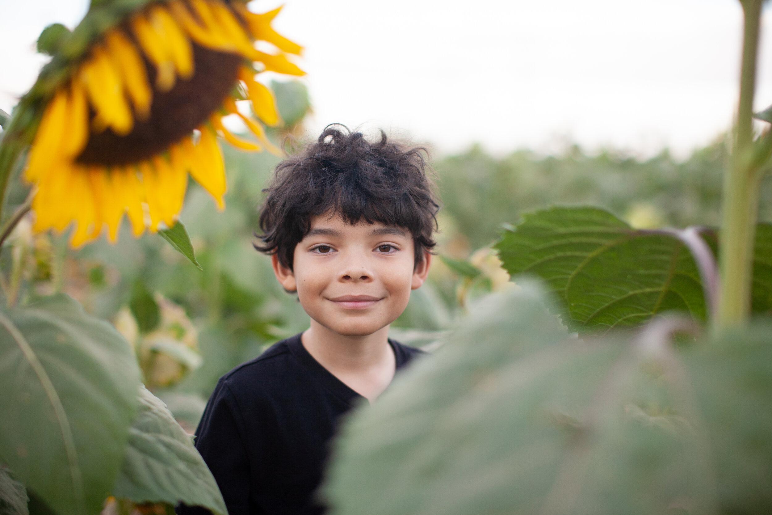 Child portraits at sunflower field in Buckeye, Arizona (Copy)