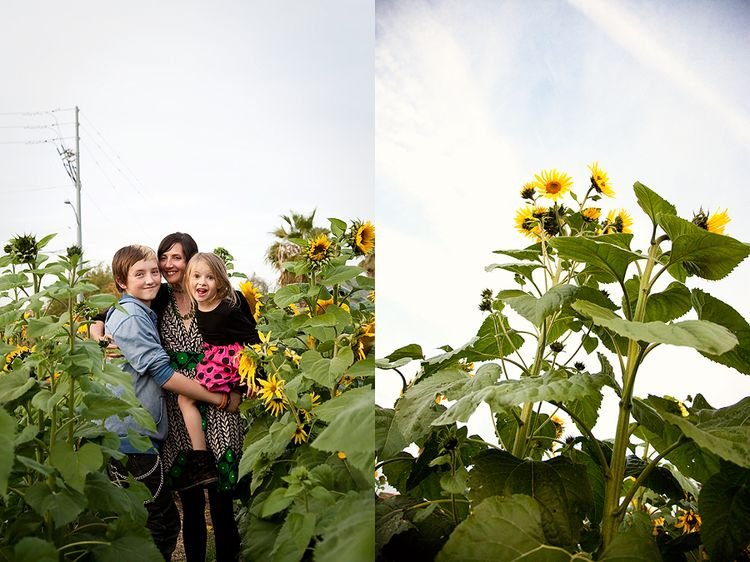 VALLEY OF THE SUNFLOWERS (25).jpg