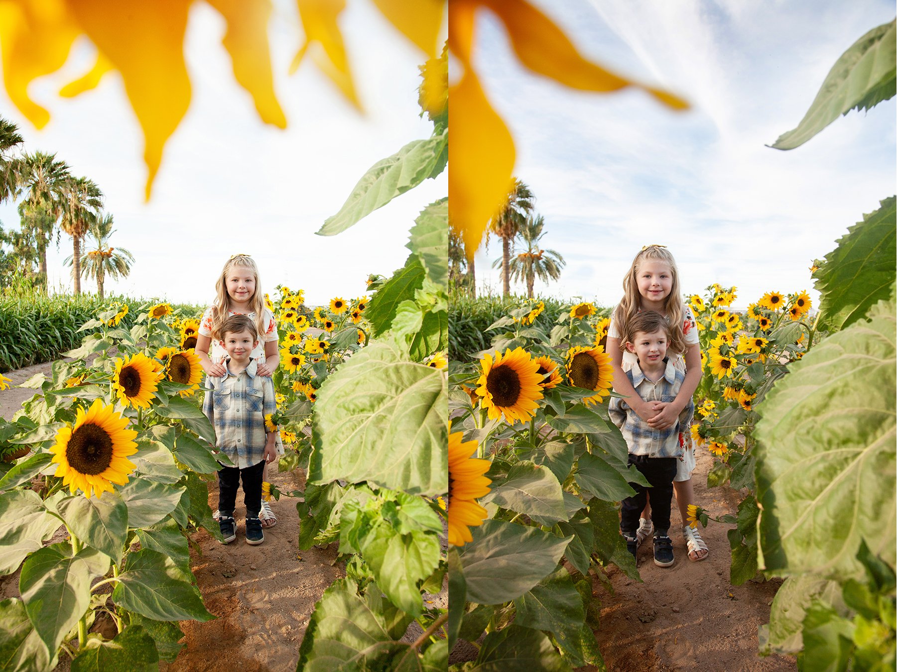 paula sunflowers merged kids.jpg