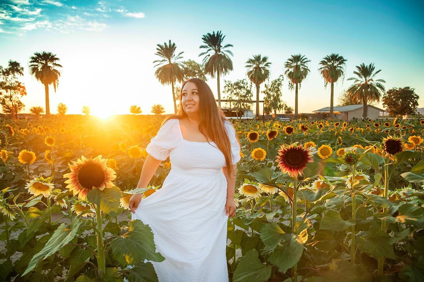 In October, I went to sunflower fields in Buckeye A LOT. In November, I edited photos A LOT. I got new editing software after just wanting a certain look and not being able to get it, and after realizing there are AI editing products out there that c