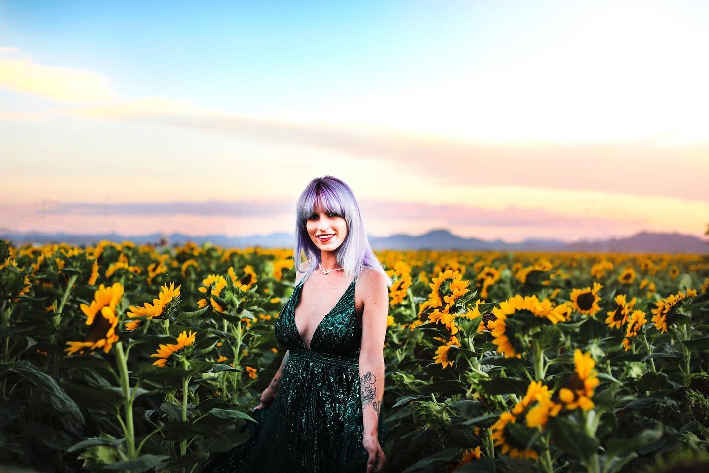 Taylor at @sweetflowerhome in the sunflowers in Buckeye, AZ.🌻🌻🌻. 

I still have one spot left for Thursday, October 27 at 5:15 pm. $400. Message me! 

#buckeyesunflowers #buckeyeaz #buckeyeazsunflowers #arizonasunflowers #balticborn #balticborndre