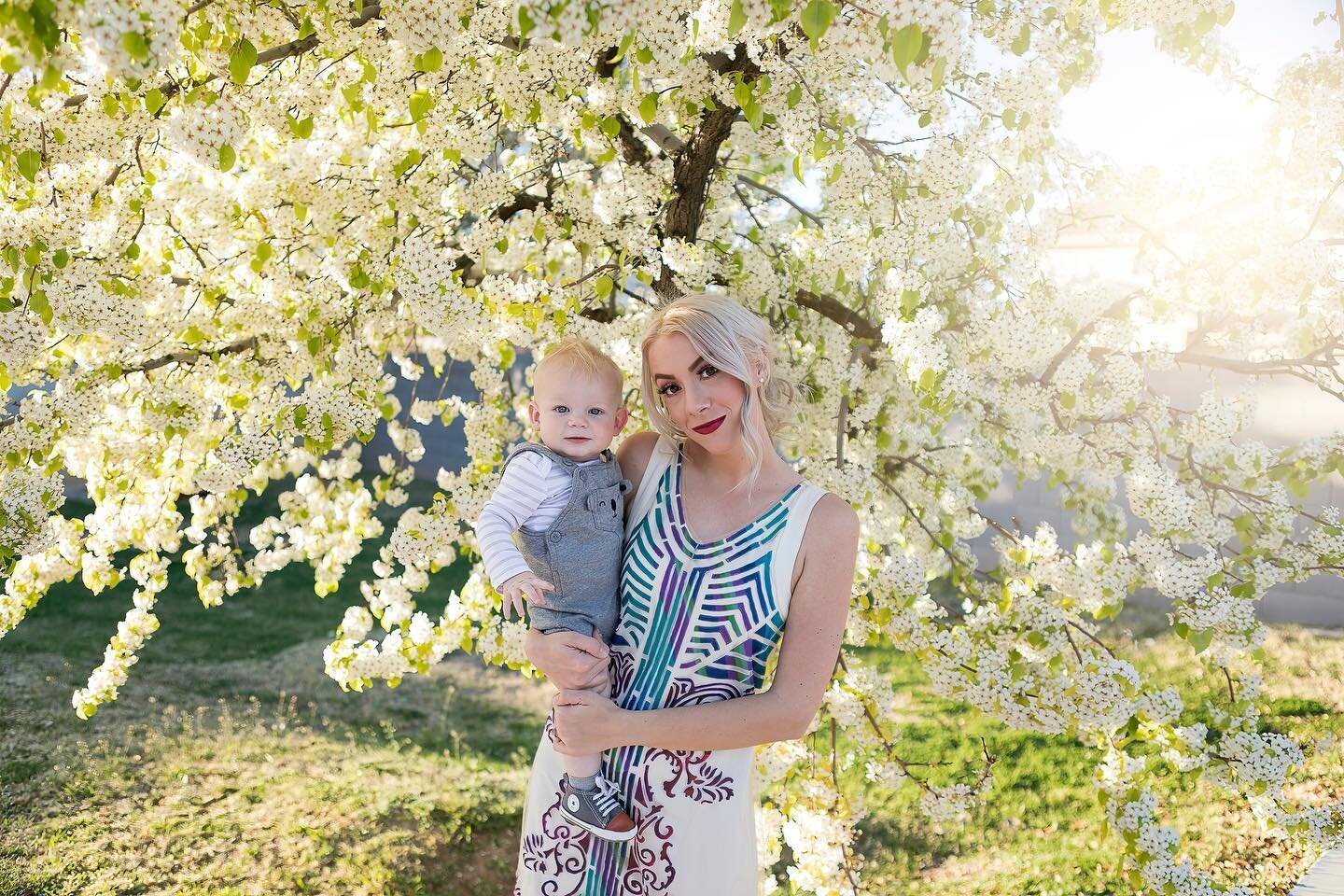 Pear trees in bloom are gorgeous! Driving around, I notice they are in bloom everywhere, they all bloom at once overnight. Here is Kassie and her baby underneath the spring snow! @kassie__duke ❄️💕❄️💕❄️