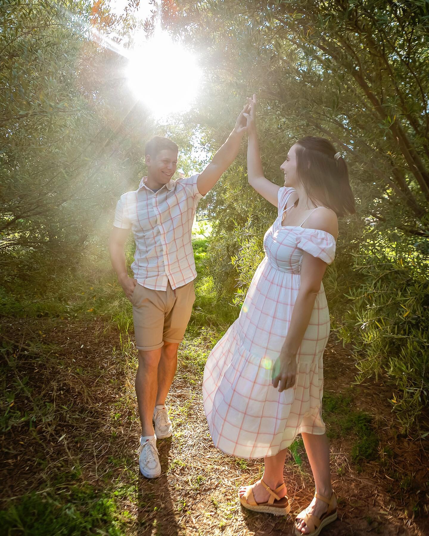 SUN POURING DOWN ~ The light in the Olive Grove is magic around 4:45 in the afternoon! E &amp; J, I had so much fun photographing you and your baby boys here! 

Have you, my friends and followers, been seeing those Wes Anderson -esque reels? I will p