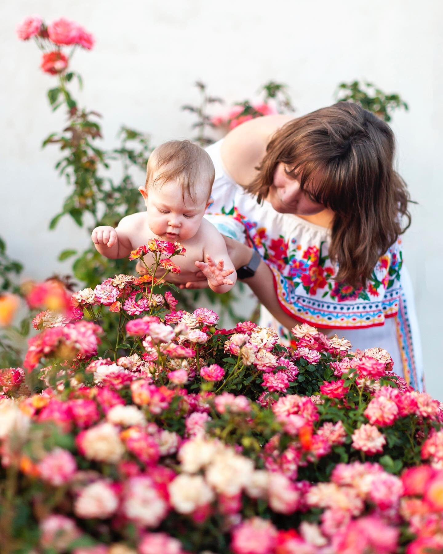 Georgia and Baby C at the roses 💕🌹💕 

I have one spot left for mini sessions at the Rose Garden in Mesa tomorrow at 6 PM. $200. DM to book.