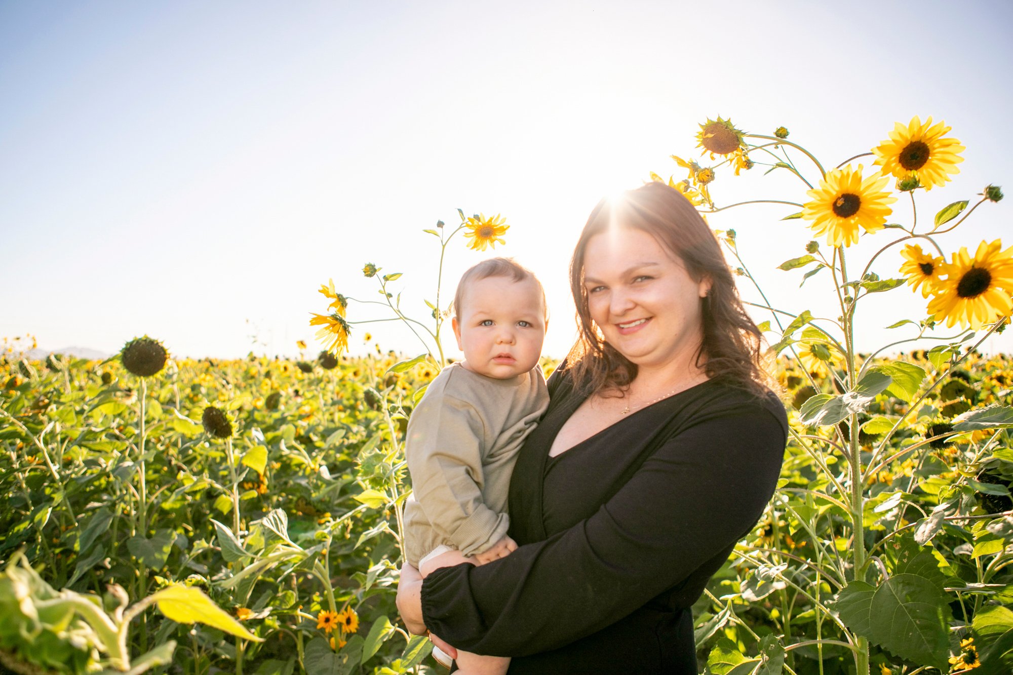 SWEET FLOWER HOME SUNFLOWERS IN BUCKEYE ARIZONA 1.jpg