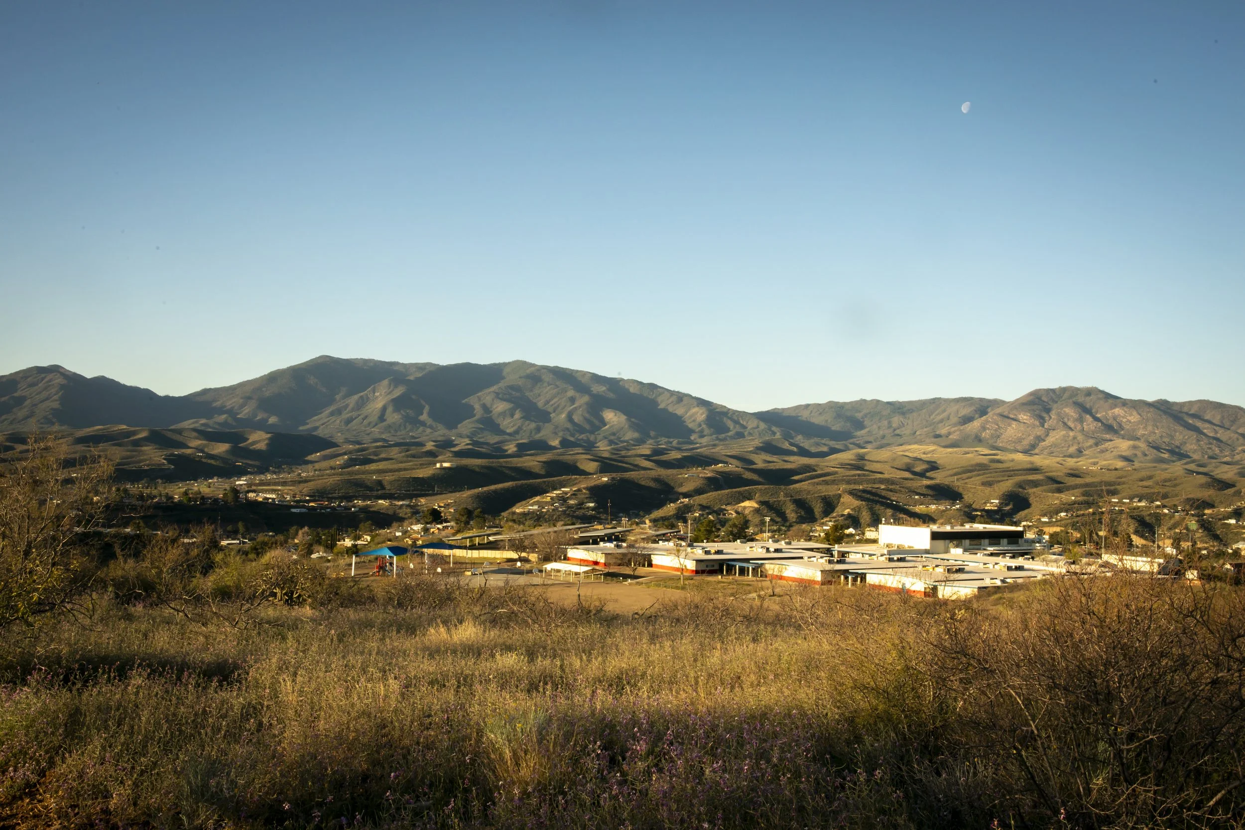 ROUND MOUNTAIN GLOBE ARIZONA NIGHT BLOOMING STOCK AT SUNRISE_020.JPG