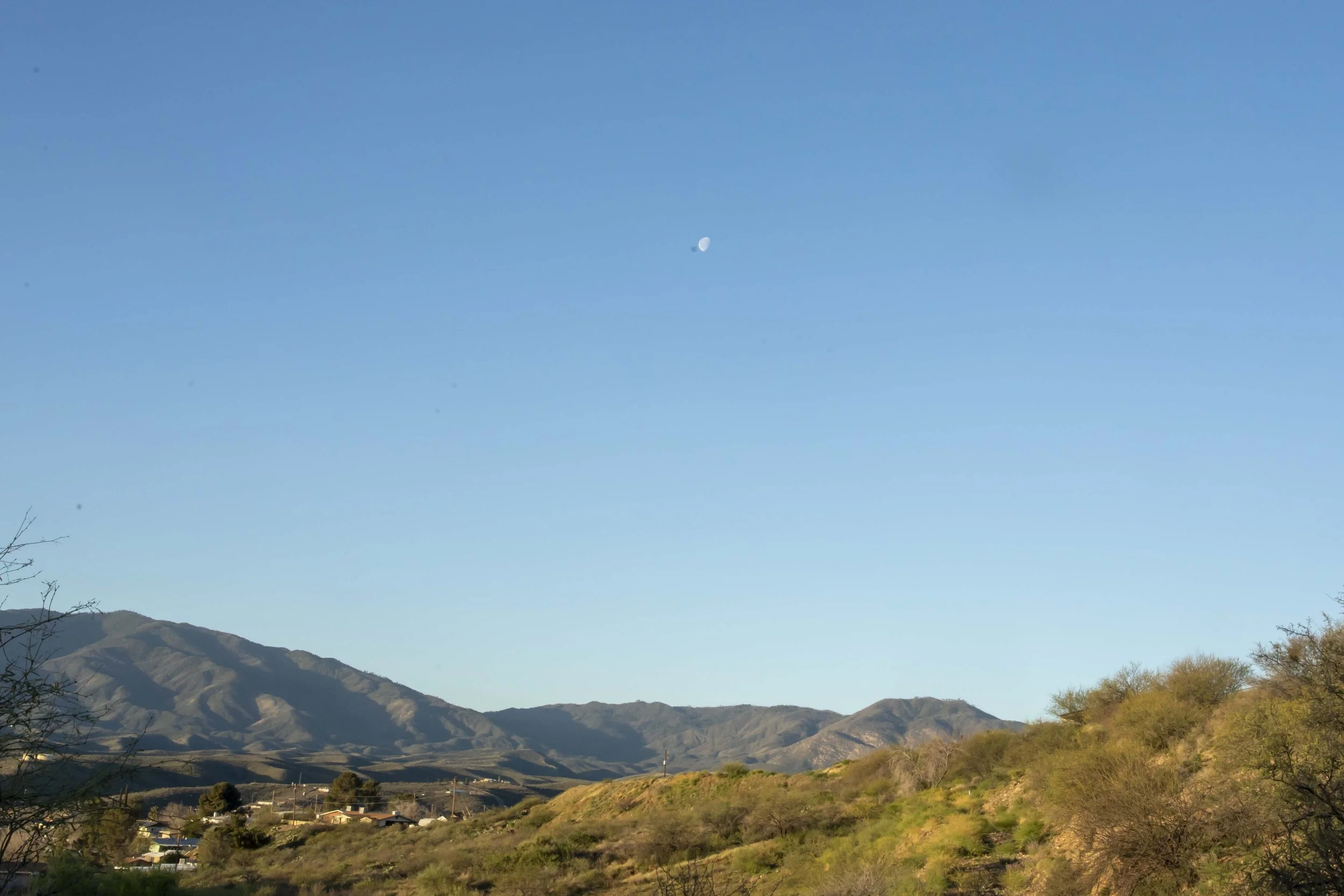 ROUND MOUNTAIN GLOBE ARIZONA NIGHT BLOOMING STOCK AT SUNRISE_048.JPG
