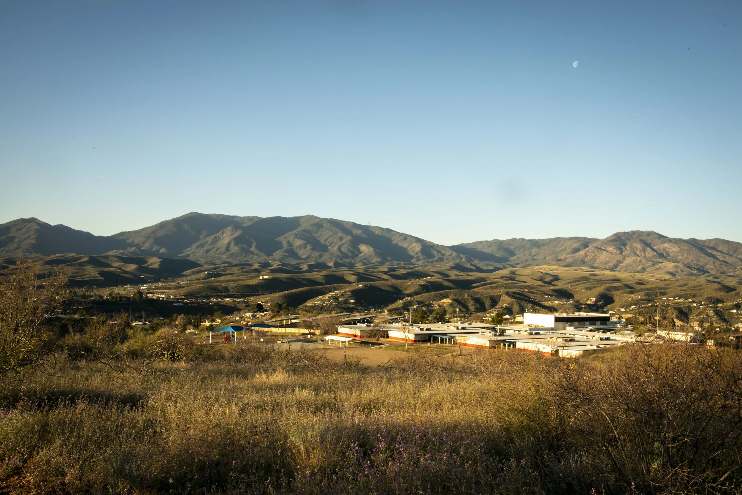 ROUND MOUNTAIN GLOBE ARIZONA NIGHT BLOOMING STOCK AT SUNRISE_066.JPG