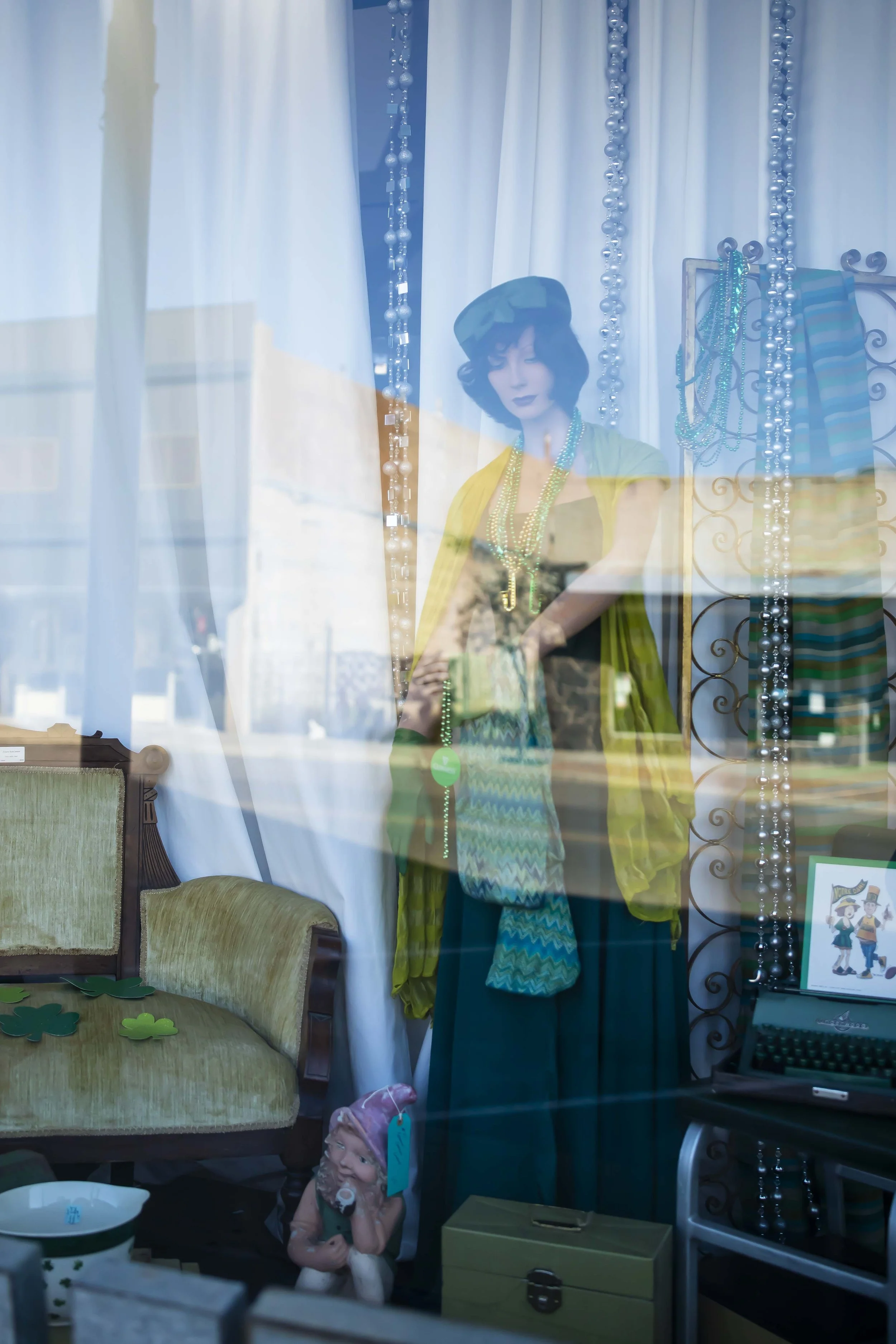 ROUND MOUNTAIN GLOBE ARIZONA NIGHT BLOOMING STOCK AT SUNRISE_080.JPG