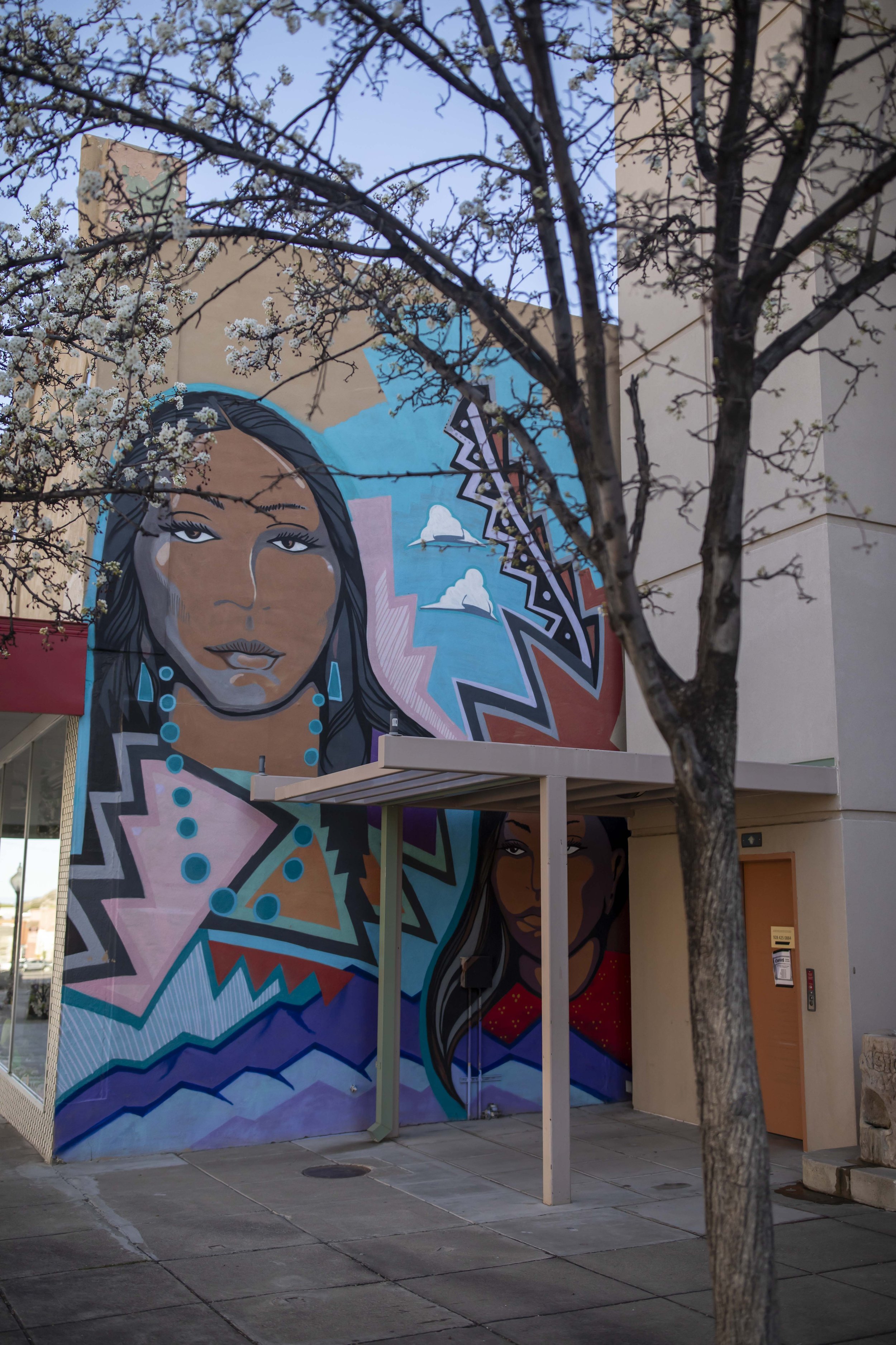 ROUND MOUNTAIN GLOBE ARIZONA NIGHT BLOOMING STOCK AT SUNRISE_083.JPG