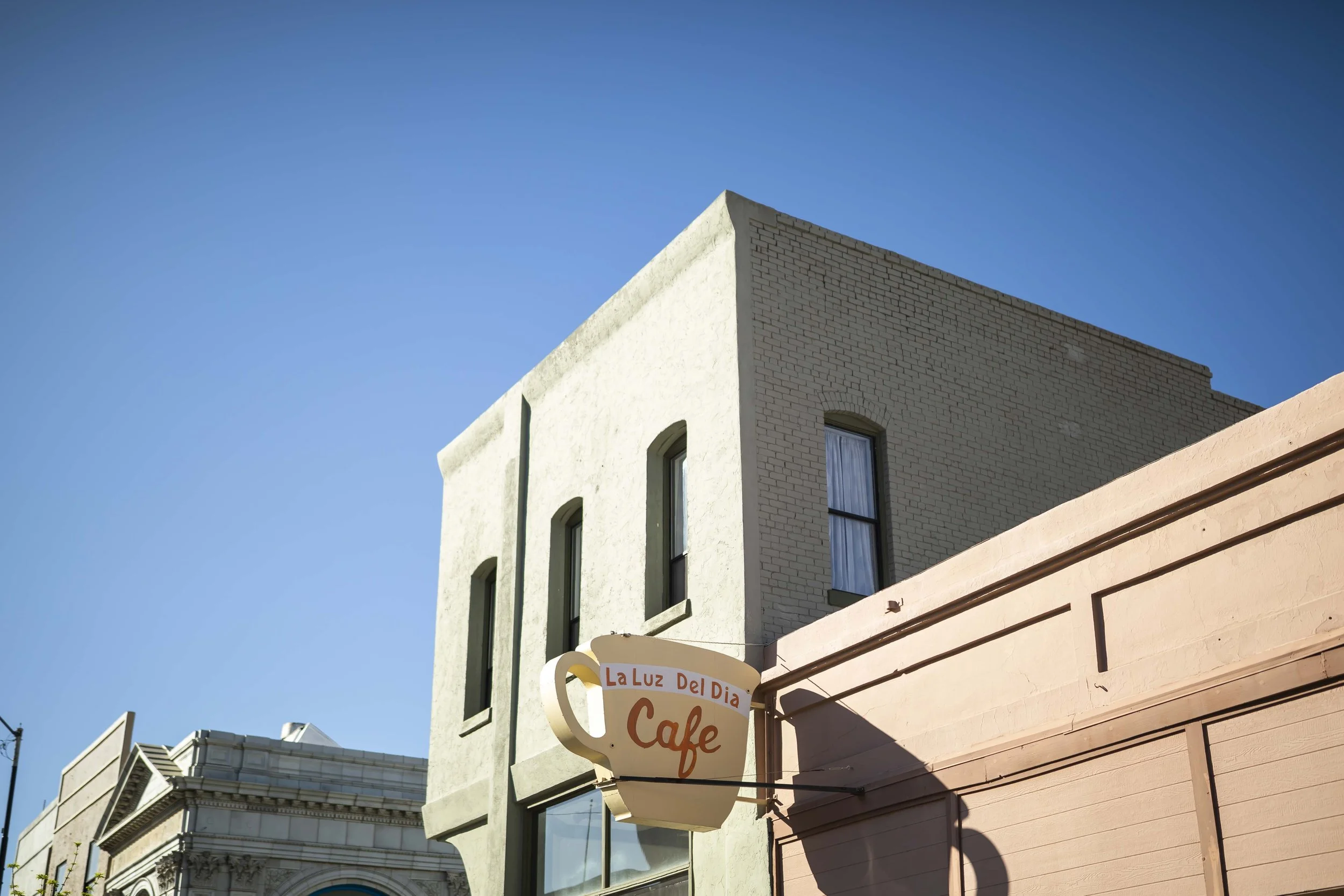 ROUND MOUNTAIN GLOBE ARIZONA NIGHT BLOOMING STOCK AT SUNRISE_090.JPG