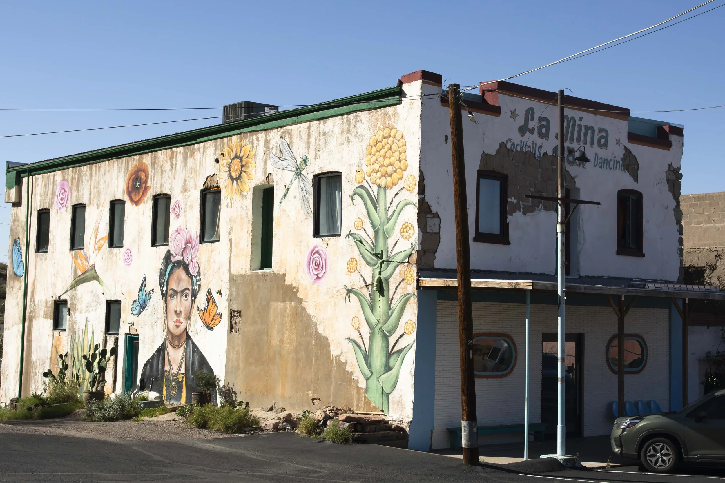 ROUND MOUNTAIN GLOBE ARIZONA NIGHT BLOOMING STOCK AT SUNRISE_092.JPG