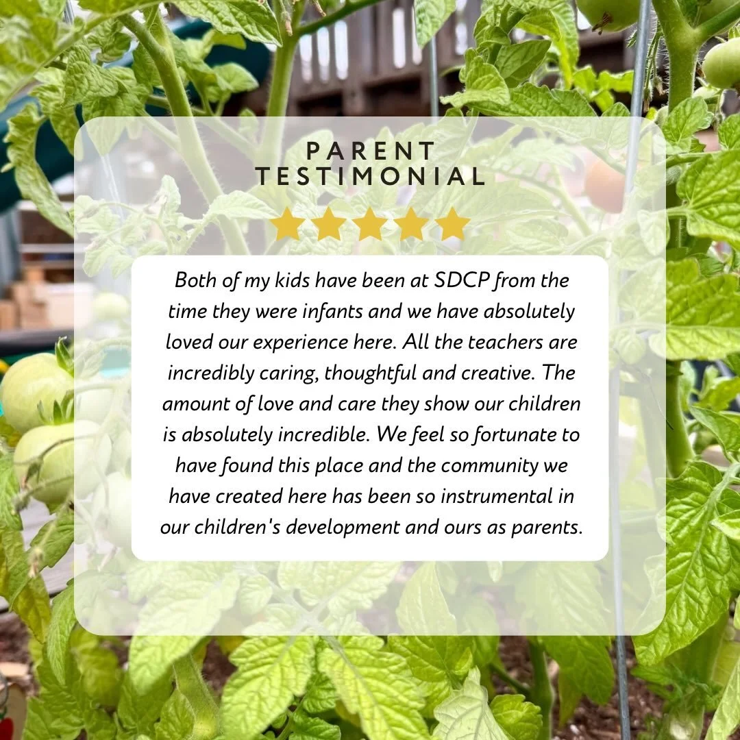 Strong community 🤝 SDCP. It&rsquo;s our specialty being a cooperative preschool! 

#sdcp #cooperativepreschool #sandiegopreschool #parenttestimonial #playbasedlearning