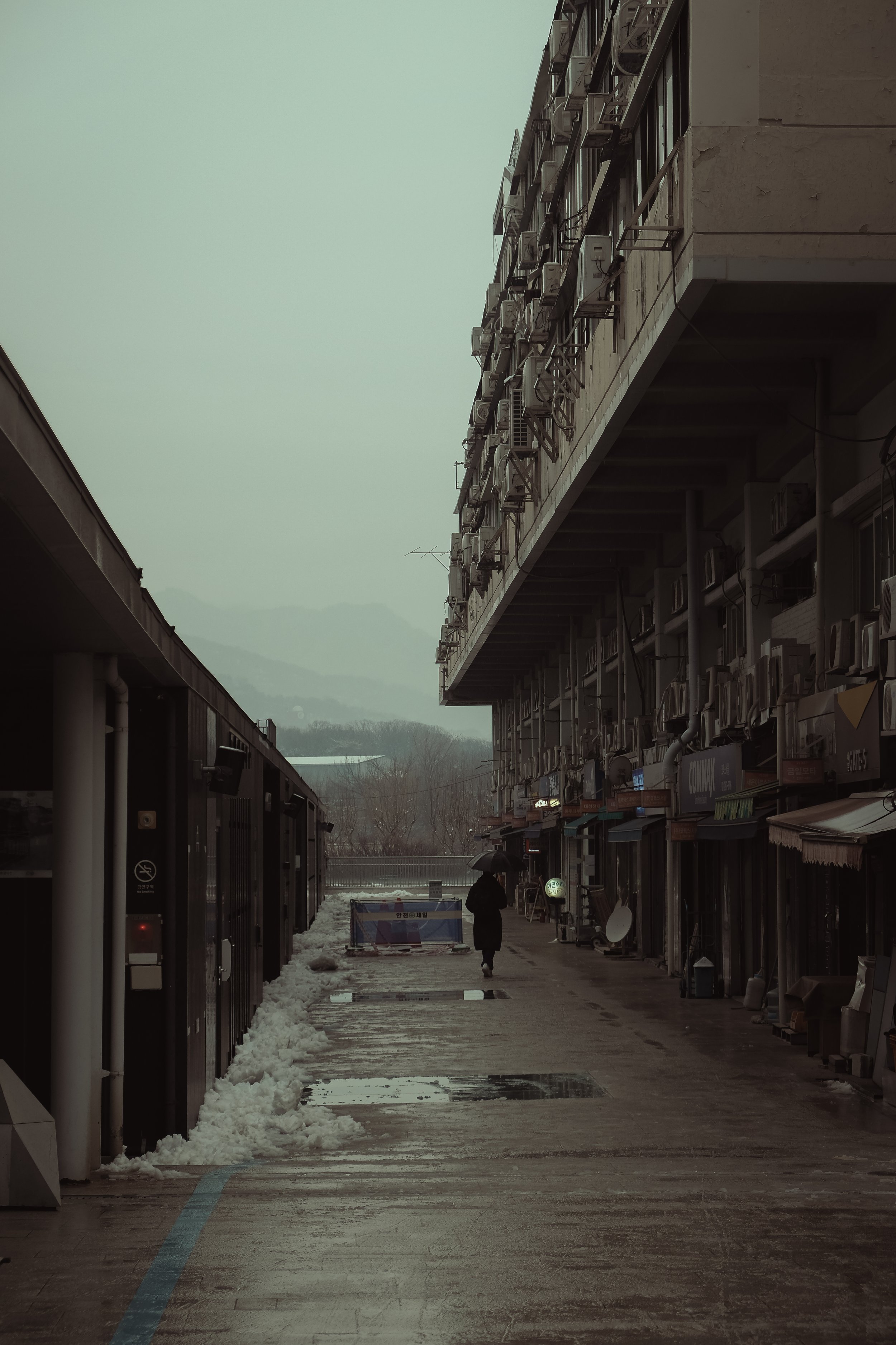 20240117-DSCF0766.jpeg