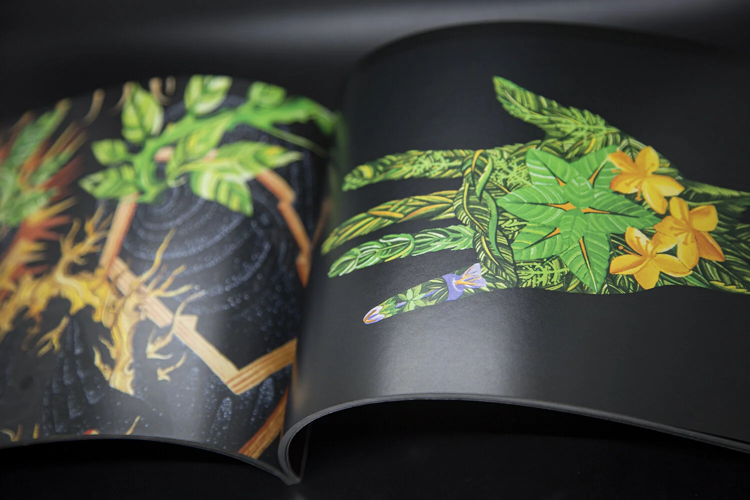 joseph nickley-16-web.jpg