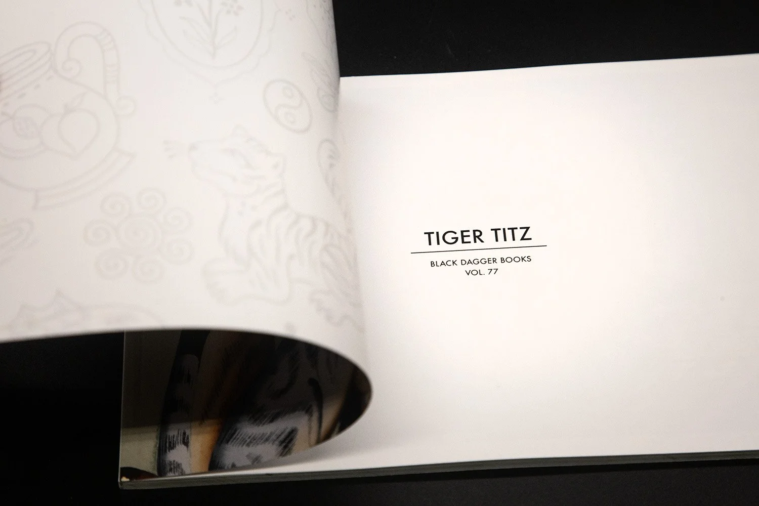77-TigerTitz-00-cover03.jpg