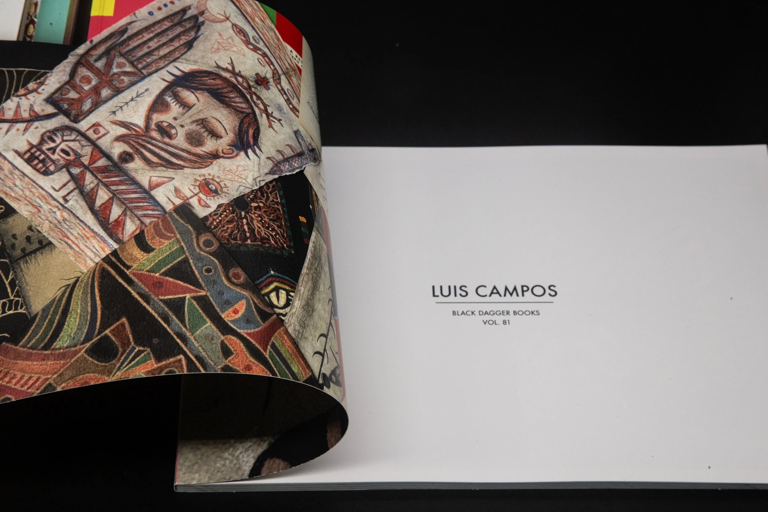 81-Campos-0-cover-2.jpg