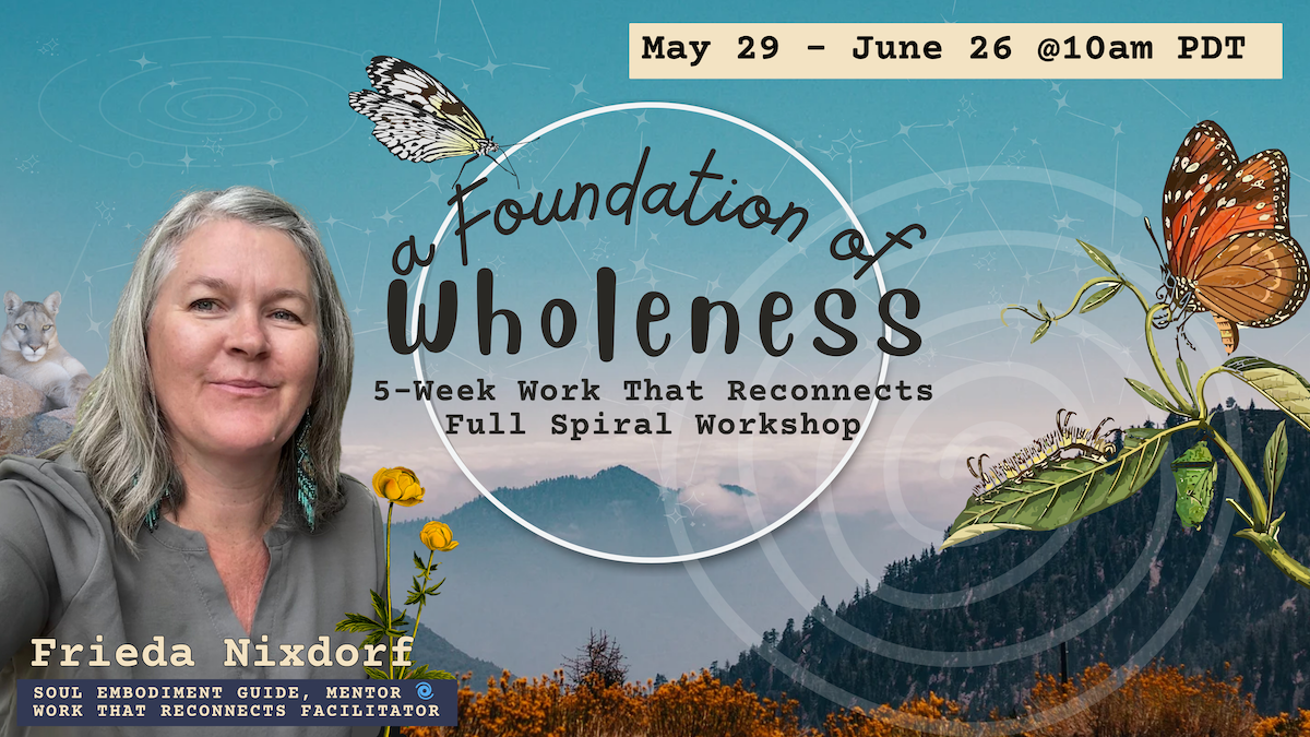 A Foundation of Wholeness: Work That Reconnects Spiral Series