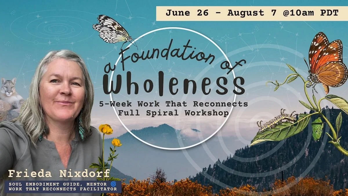 A Foundation of Wholeness: Work That Reconnects Spiral Series