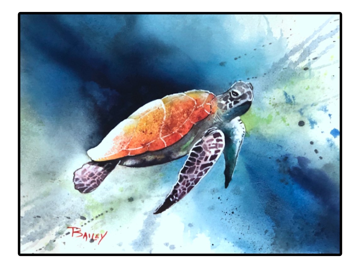 CATALOG/UPDATES — NEW ENGLAND TRADITIONS