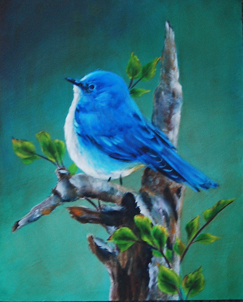 27-5 Bluebird.jpg