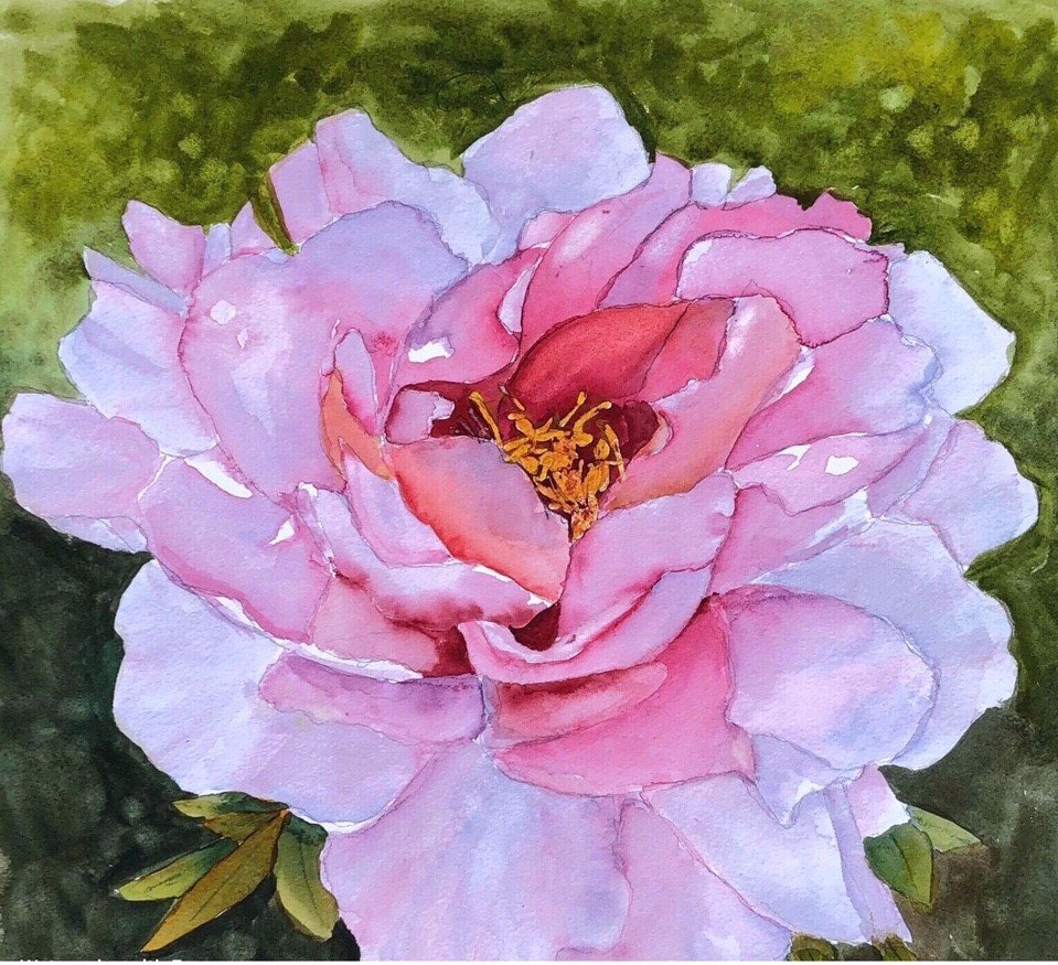 37-1 Elegant Peony.jpg