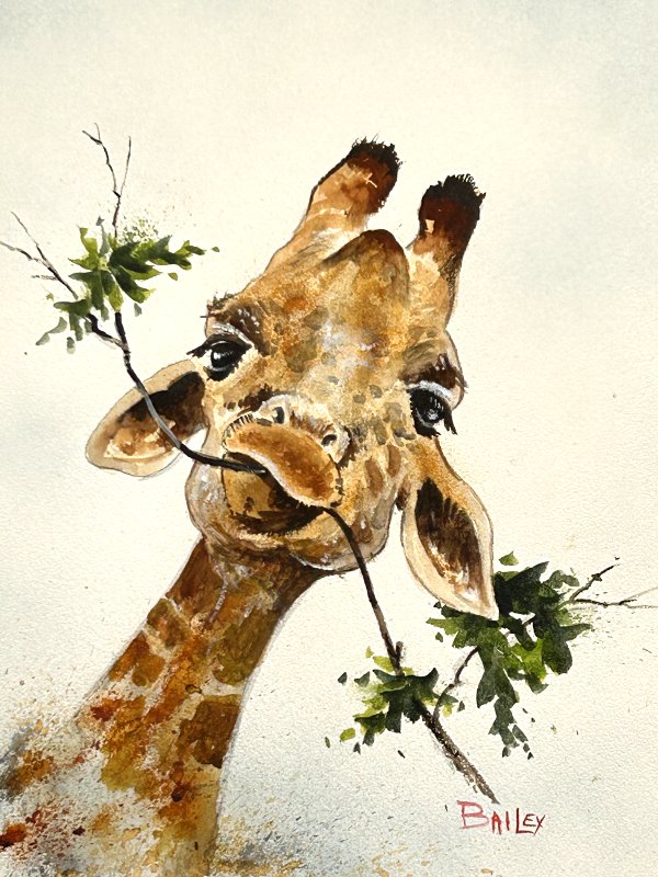 5020 Giraffe.jpg