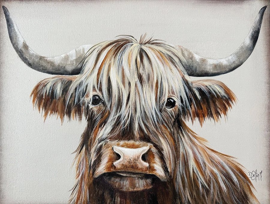 1230 Cotton High Harry.jpg