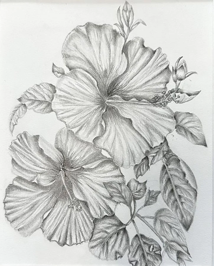 2180 Jordan Doub Hibiscus.jpg