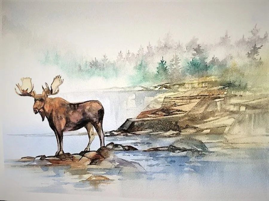 3060 Polomchak Moose.jpg