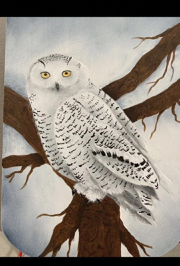 3120 Cormier Snowy Owl.jpg