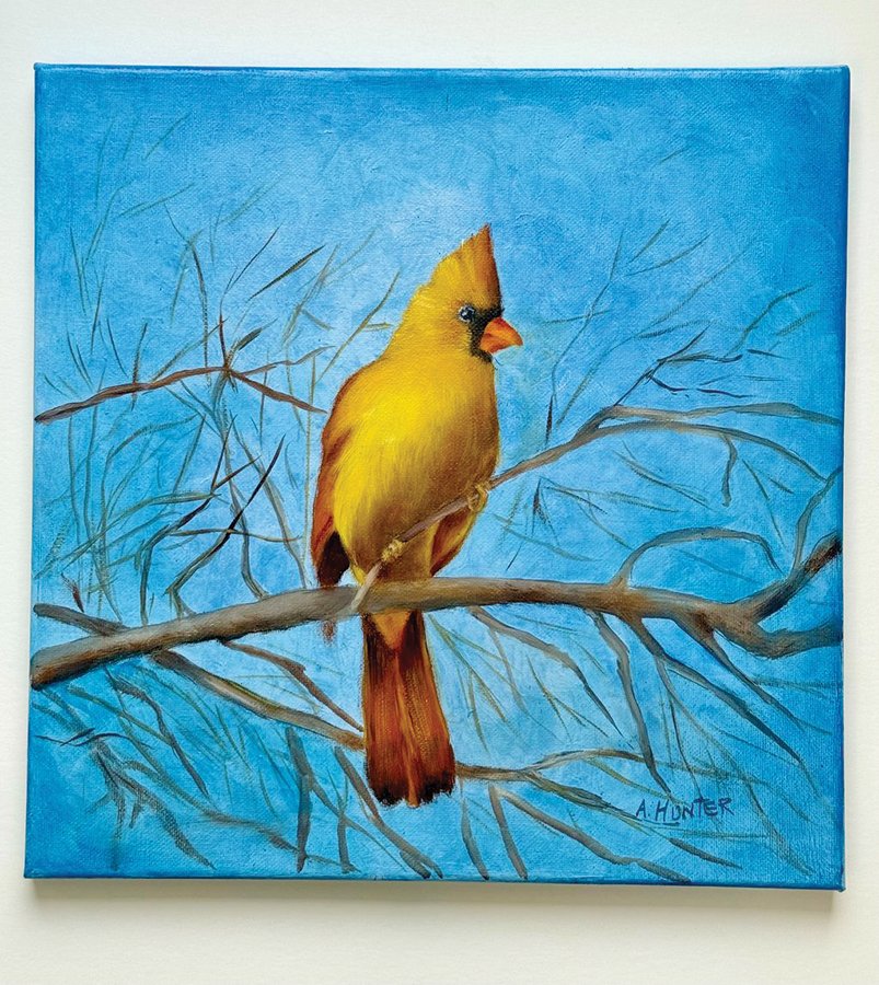 4170 Hunter Yellow Cardinal.jpg