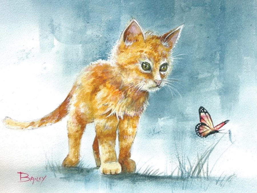 4230 Bailey Charlie.jpg