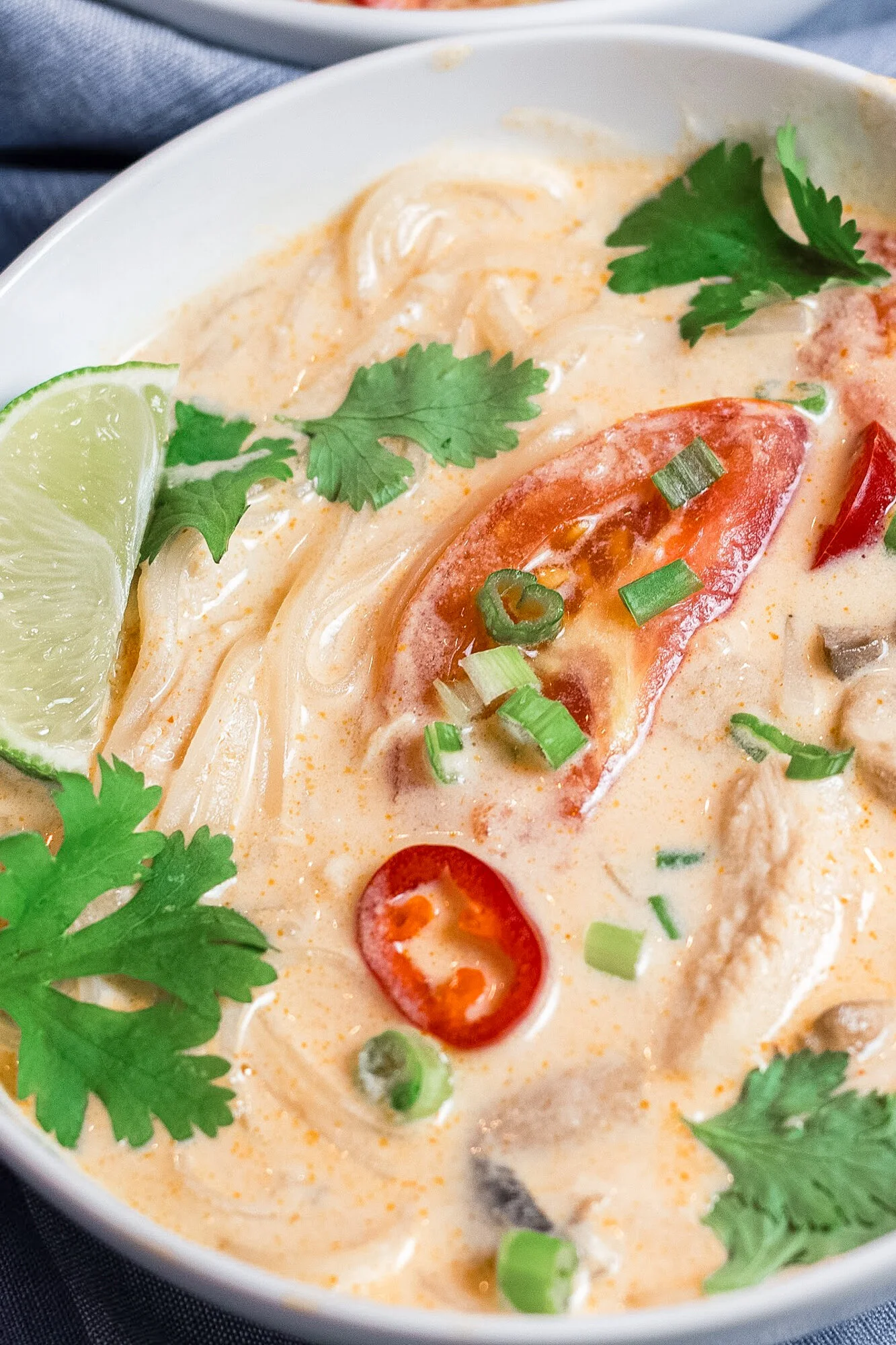 Thai Coconut Chicken Soup (Tom Kha Gai) with Rice Noodles