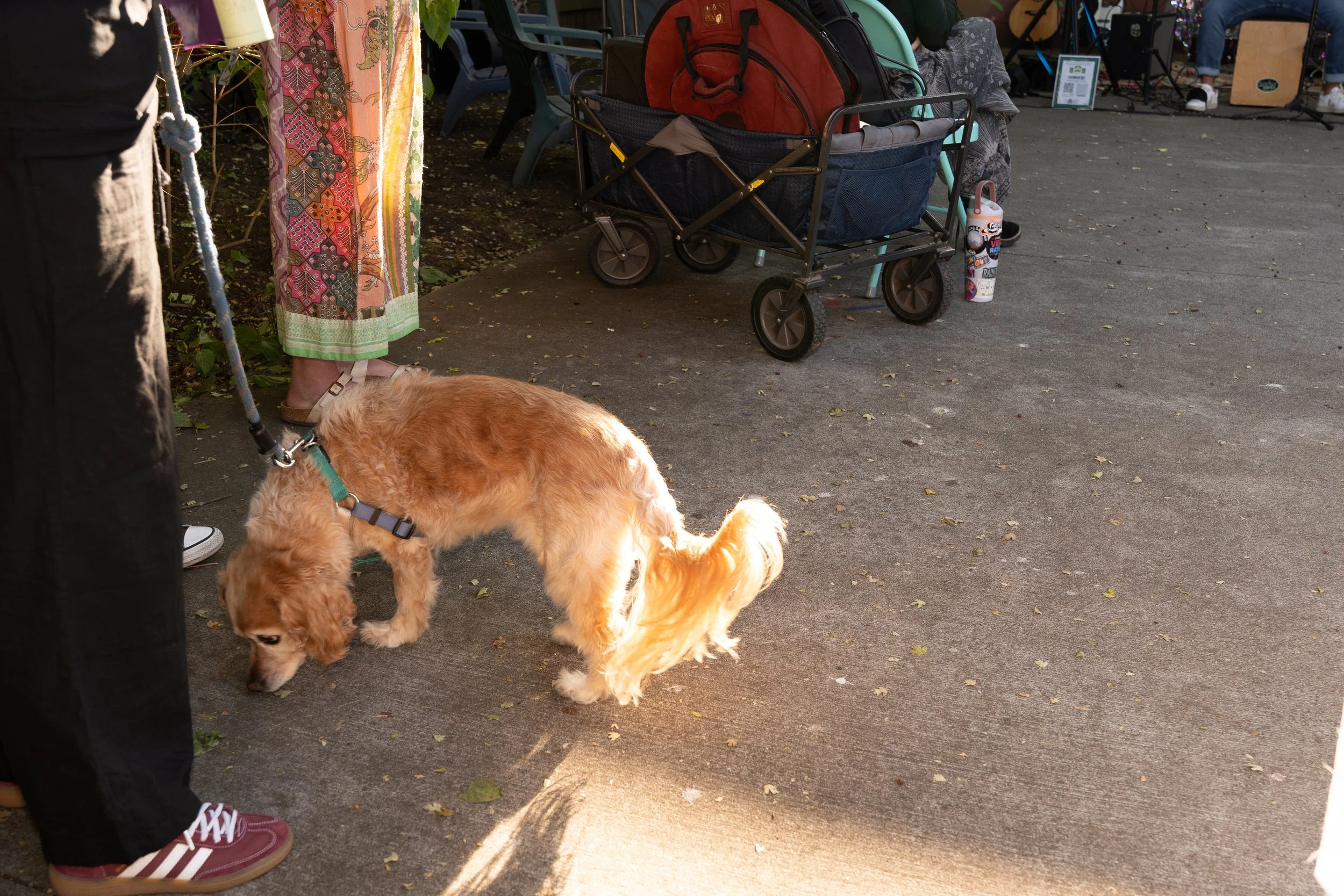 DSC07178.jpg