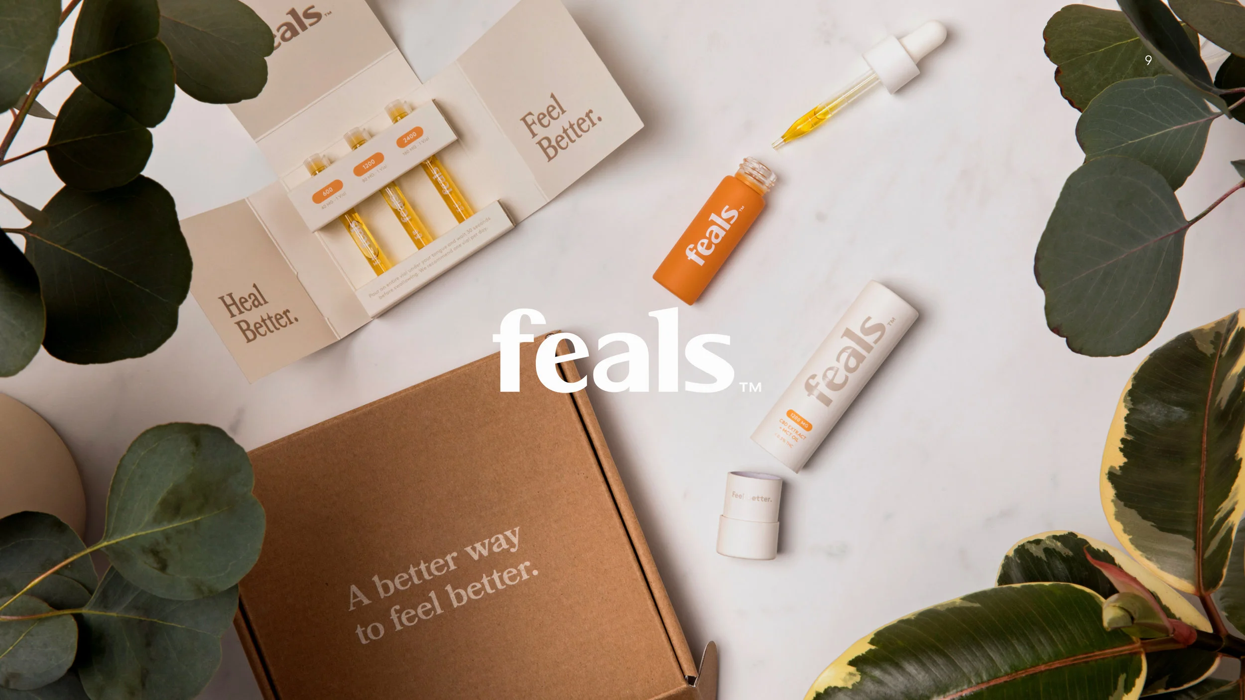 Squarespace_creds_deck_v19.jpg